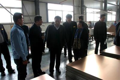 省工信廳副廳長任國蒞臨大荔調研新能源產業發展情況