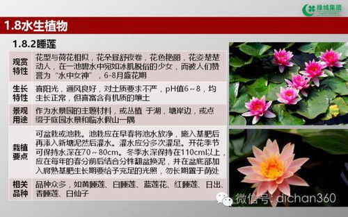 綠城集團園林軟景苗木圖譜 全套